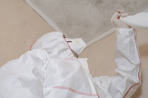 Best Residential Mold Removal  in Churchill, OH